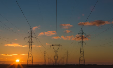 U.S. Oil Inventories Fall Slightly as Energy Markets Watch Supply Trends