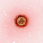 Health Officials Confront Renewed Questions Over Vaccine Policy as Measles Cases Rise