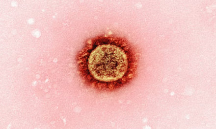 Health Officials Confront Renewed Questions Over Vaccine Policy as Measles Cases Rise