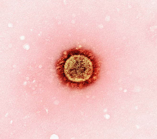 Health Officials Confront Renewed Questions Over Vaccine Policy as Measles Cases Rise