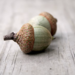 The Acorn Is Returning to American Kitchens as Chefs and Researchers Reconsider the Wild Nut