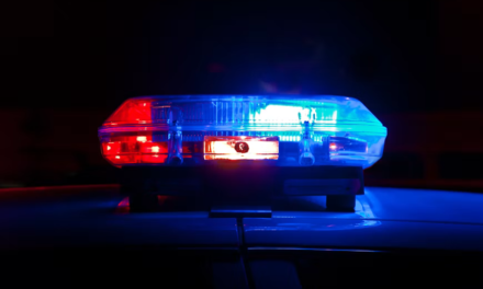 A Woman Says She Spent Months Facing Criminal Charges After Police Mistook Her for Her Twin
