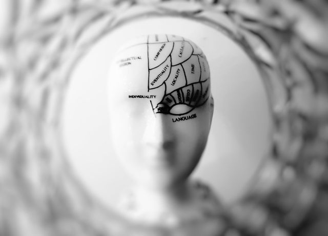 Brain Traffic Jam: UChicago Neuroscientists Discover Why Uncertainty Causes ‘Feature Interference’
